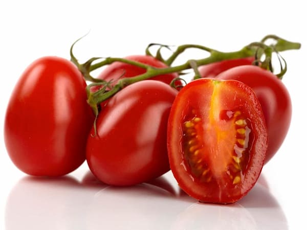 خرید گوجه زیتونی گلخانه ای + قیمت عالی باکیفیت
